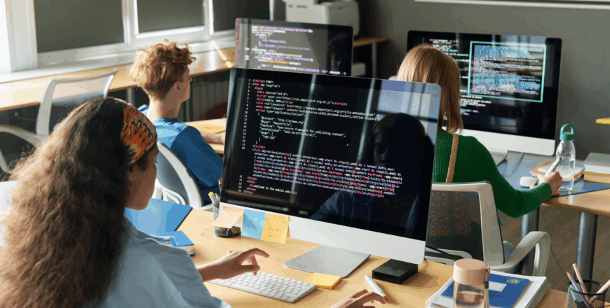 cel mai bun curs de programare